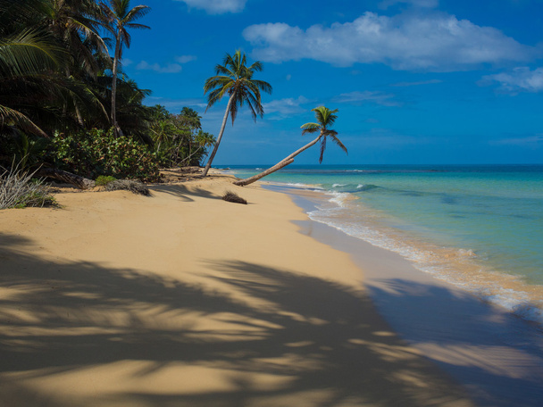 pihentető trópusi tengerpart - Fotó, kép