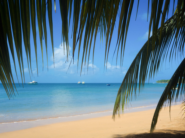 entspannender tropischer Strand - Foto, Bild