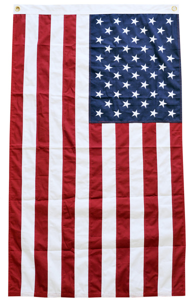 National symbol of America - Foto, immagini