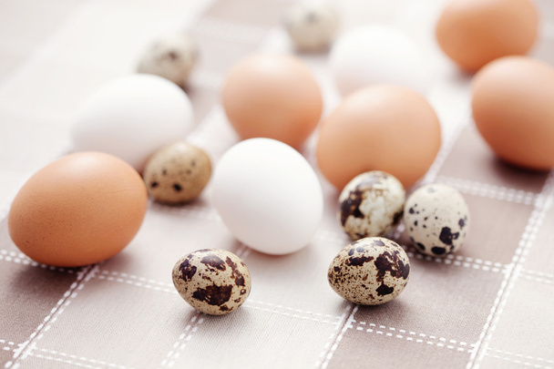 Αυγά - Φωτογραφία, εικόνα