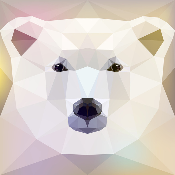 Rostro de un oso polar
 - Vector, Imagen