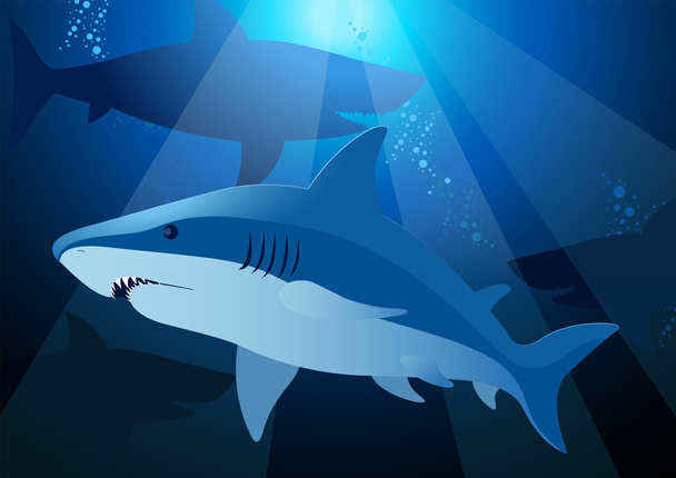 Καρχαρία, κολύμπι κάτω από τη θάλασσα με το φως του ήλιου - Διάνυσμα, εικόνα