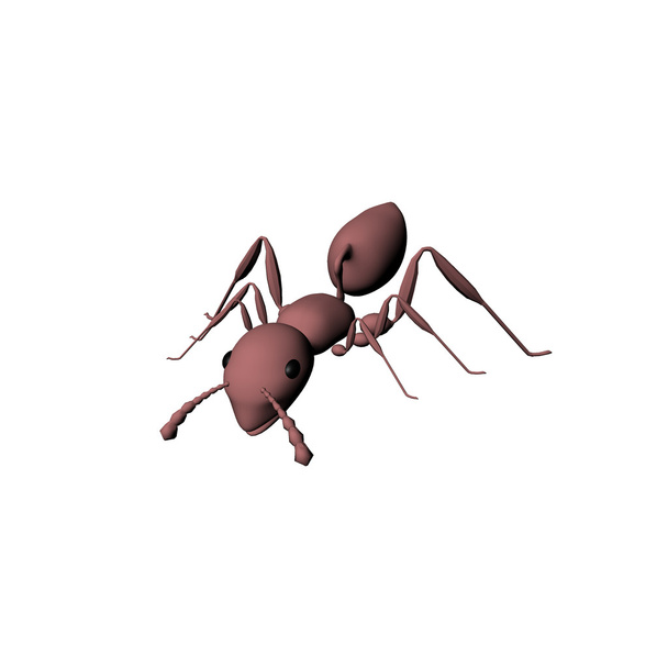 Isolat de fourmi mignon avec blanc
 - Photo, image