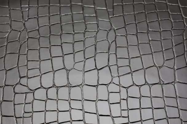 Textura de piel de cocodrilo - Foto, Imagen