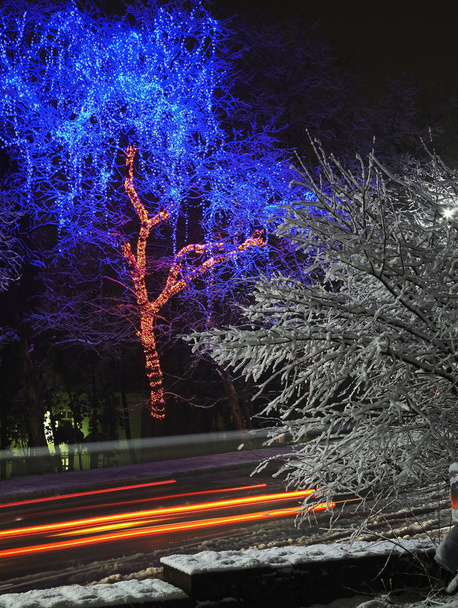 Барвисте новорічне освітлення на міській вулиці
 - Фото, зображення
