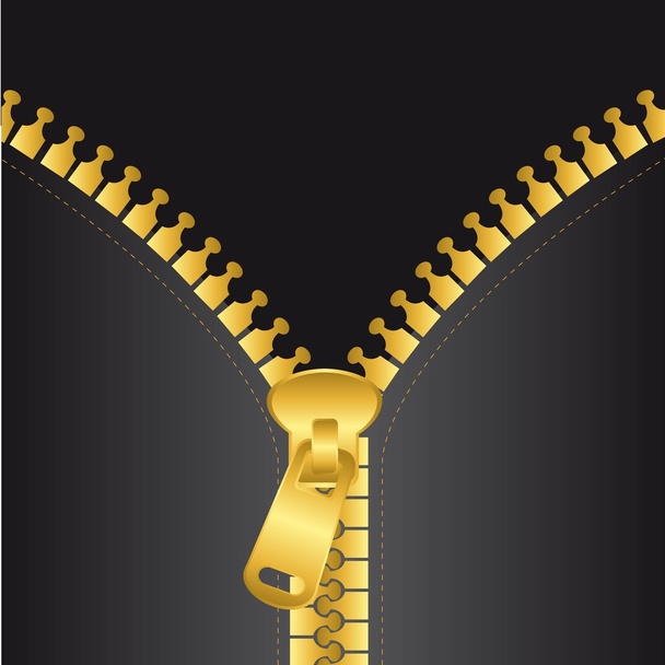 gold zip vector - Vector, Image