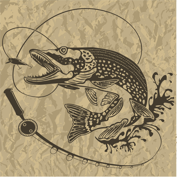 PIKE FRESH FISH BROWN BACKGROUND 3 - Vector, Image