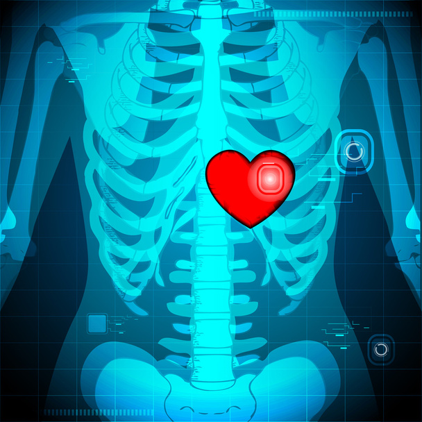 insan x ışını gösteren kalp - Vektör, Görsel