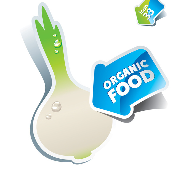 Ікона біла цибуля зі стрілою органічною їжею. Векторні ілюстрації
 - Вектор, зображення