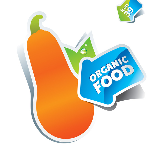 Icon pumpkin with arrow by organic food. Vector illustration - Vector, Image