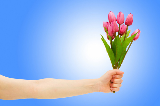 Hand with tulips on gradient - Photo, Image
