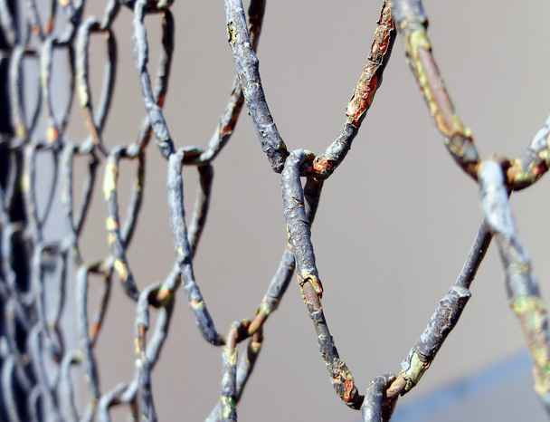 Wire mesh weergave - Foto, afbeelding