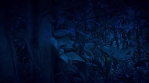 Moviéndose a través de la densa jungla en vista lateral nocturna
 - Metraje, vídeo