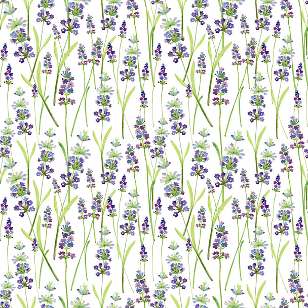 Hand drawn lavender flowers - Fotografie, Obrázek