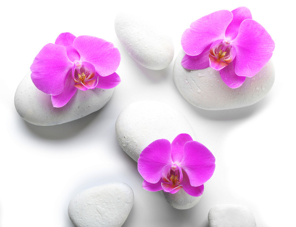 White spa stones and orchids  - Fotó, kép