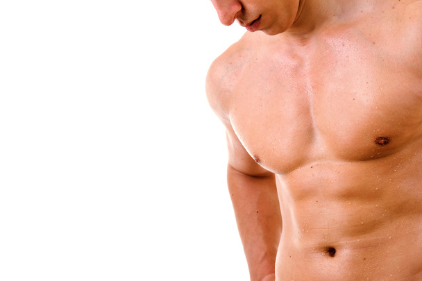 Muscular male torso - Photo, image