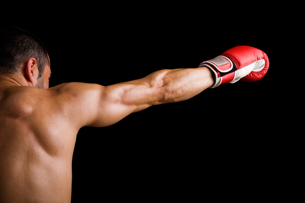 Young Boxer fighter over black background - Foto, immagini