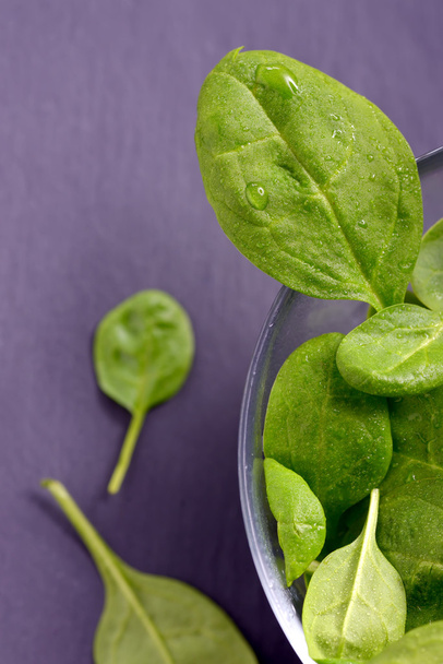 fresh spinach leaves - Photo, Image