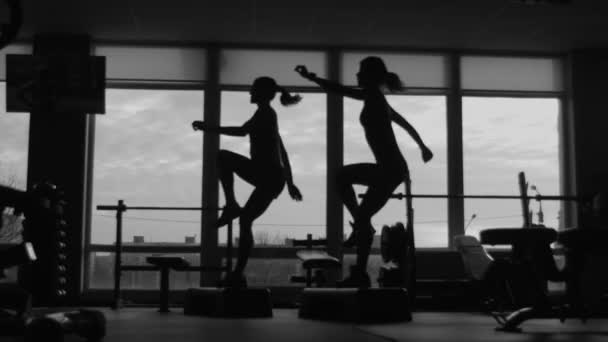 Menina com instrutor fazer exercícios de fitness juntos usando um passo no ginásio esporte
 - Filmagem, Vídeo