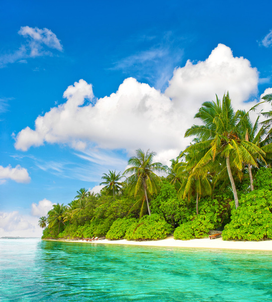 Playa de la isla tropical. Palmeras. Cielo azul del agua
 - Foto, imagen