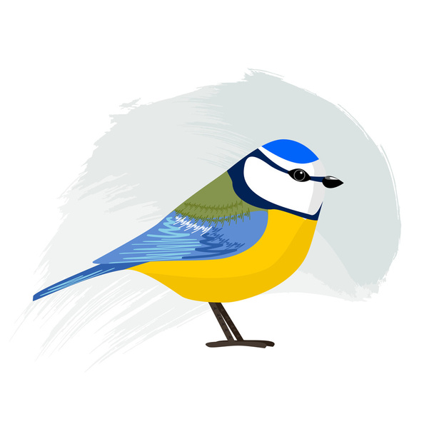 Blaumeise, kleiner Vogel auf blauem Grund. Vektorillustration - Vektor, Bild