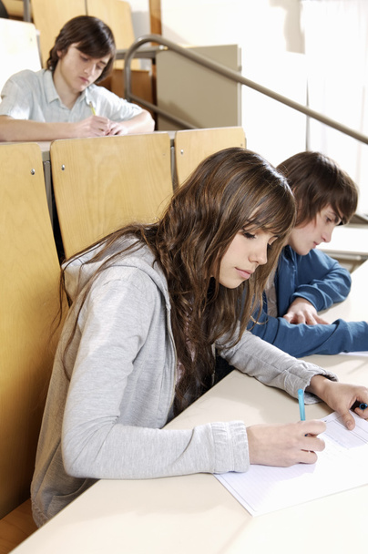 Group of young students writing notes - Photo, Image