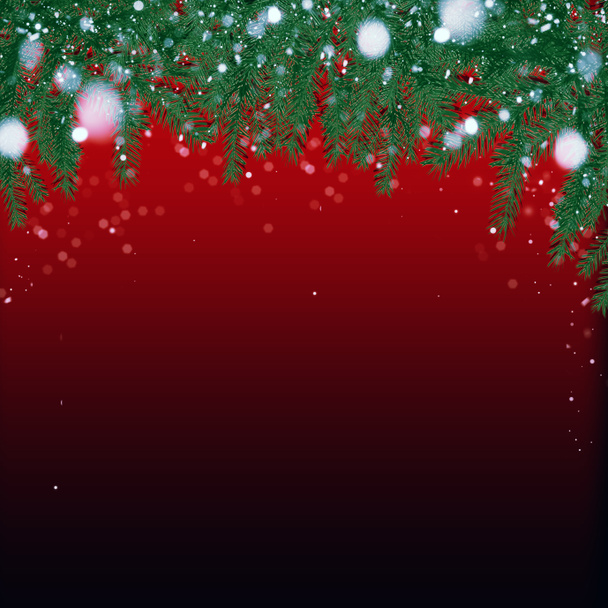Χριστουγεννιάτικη κάρτα με κλαδιά έλατου - Φωτογραφία, εικόνα