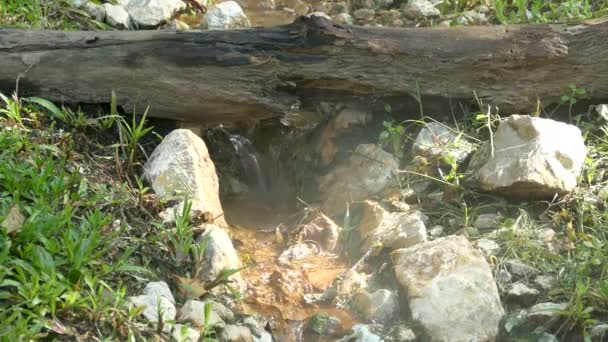 Source chaude Mae Kasa. Les sources thermales sont grandes pour les touristes intéressés à visiter. Et bains thermaux détente
 - Séquence, vidéo