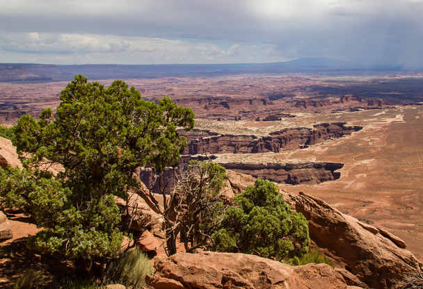 Canyonlands nemzeti park - Fotó, kép