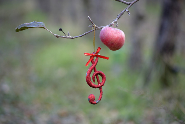 Muzieknoten in appelboomgaard - Foto, afbeelding