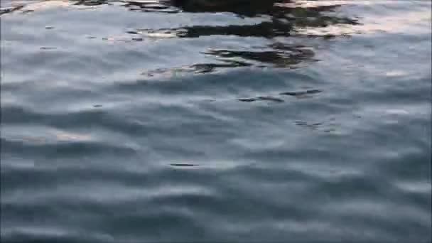 blue sea water passing view from a moving boat with sparkles and light reflections - Footage, Video