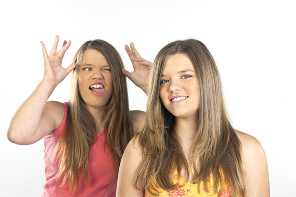 Zwillingsschwestern - Foto, Bild