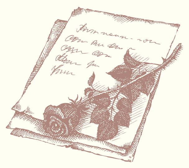 σκίτσο του φορέα των τριαντάφυλλων στο παλιό γράμμα - Διάνυσμα, εικόνα
