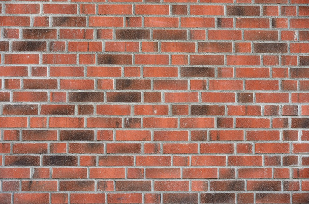 New brick wall - Photo, Image