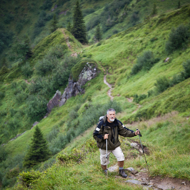 Active senior hiking in high mountains (Swiss Alps) - 写真・画像