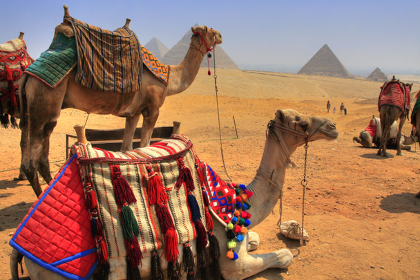 Giza Pyramidit
 - Valokuva, kuva