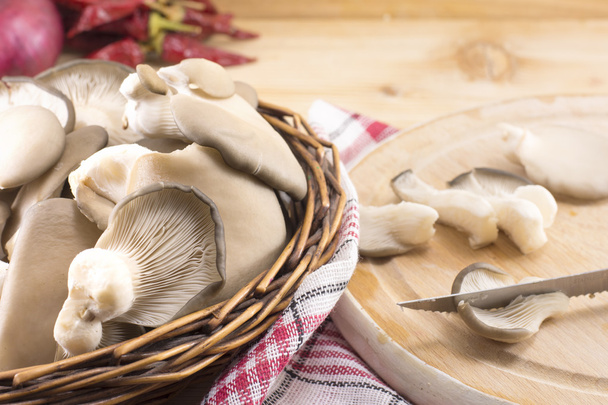 Куча устричных грибов
 - Фото, изображение