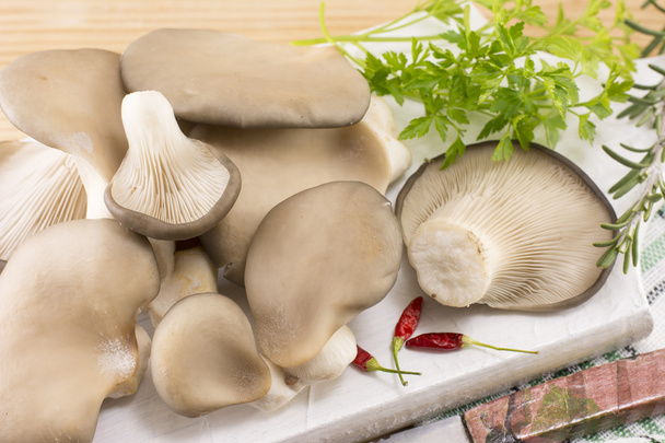Bouquet de champignons huîtres
 - Photo, image