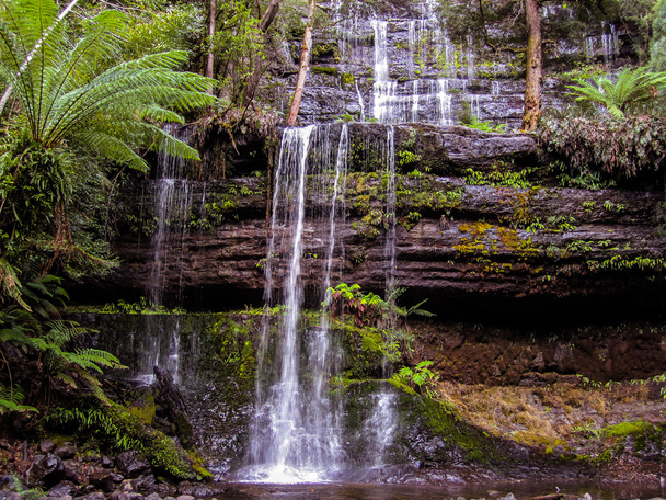 Приголомшливий дощовий лісовий водоспад
 - Фото, зображення