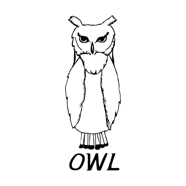 hand draw a sketch in the style of an owl - Vektori, kuva
