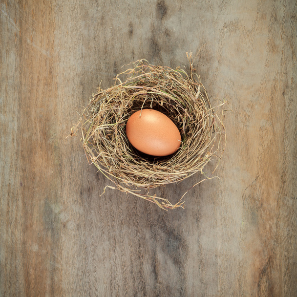 Heunest mit braunem Ei auf Holzbrett - Foto, Bild