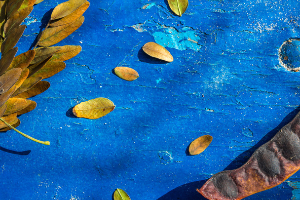 Fondo otoñal con hojas sobre tabla azul
 - Foto, imagen