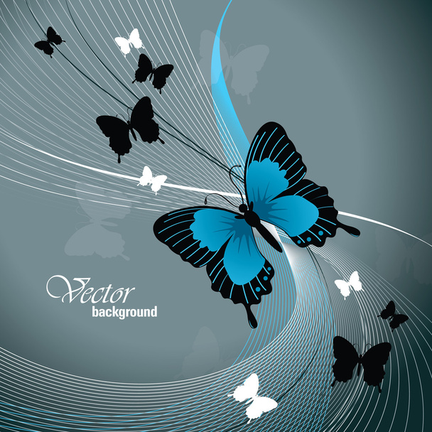 Butterfly Illustration. Vector Background. - Vector, Imagen