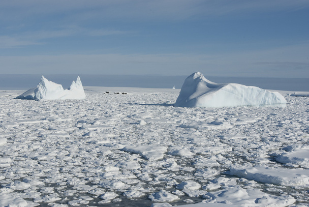 jéghegyek a Déli-óceán - 1. - Fotó, kép