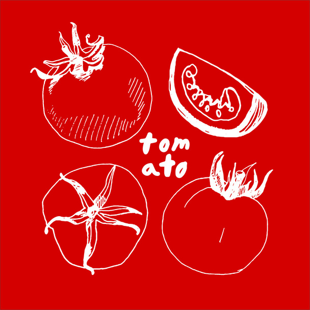 hand drawn tomatoes isolated on red background. - Vecteur, image