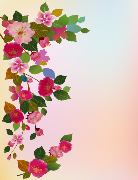 Сакура. Вечер в саду, цветущая вишня
 - Вектор,изображение