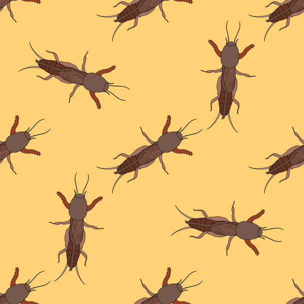 Naadloze patroon met Europese mole cricket. Gryllotalpidae. handgetekende mole cricket. Vector - Vector, afbeelding