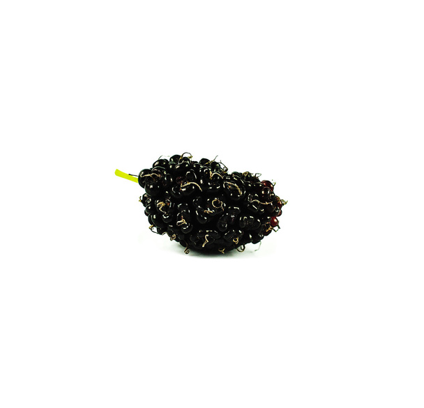 blackberry isolated on white background - Photo, Image
