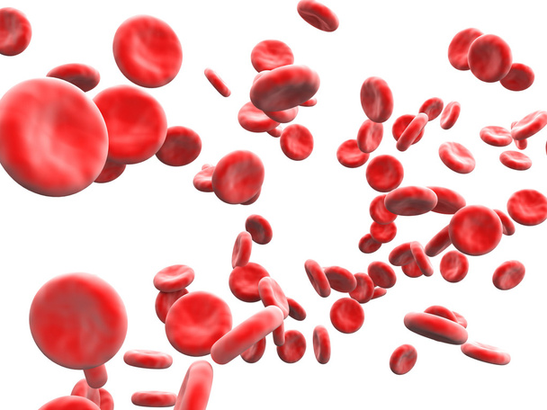 Glóbulos sanguíneos
 - Foto, Imagen
