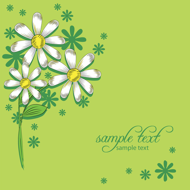 Vector background of daisies - Vetor, Imagem